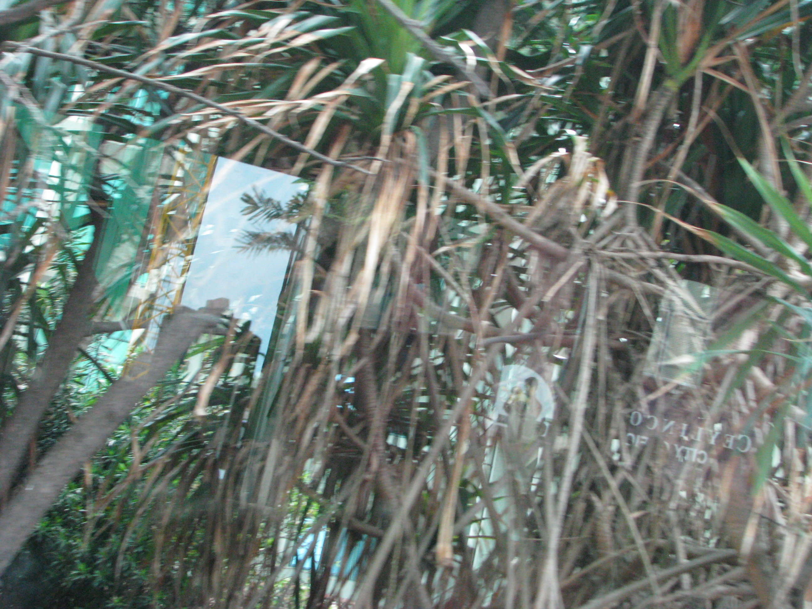 IMG 9159